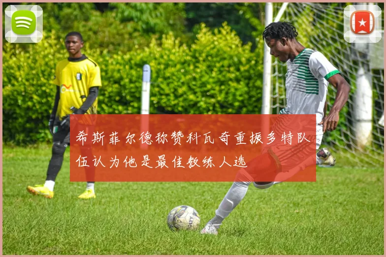 希斯菲尔德称赞科瓦奇重振多特队伍认为他是最佳教练人选