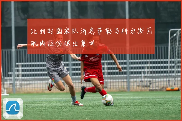 比利时国家队消息萨勒马科尔斯因肌肉拉伤退出集训