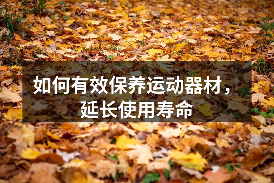如何有效保养运动器材，延长使用寿命